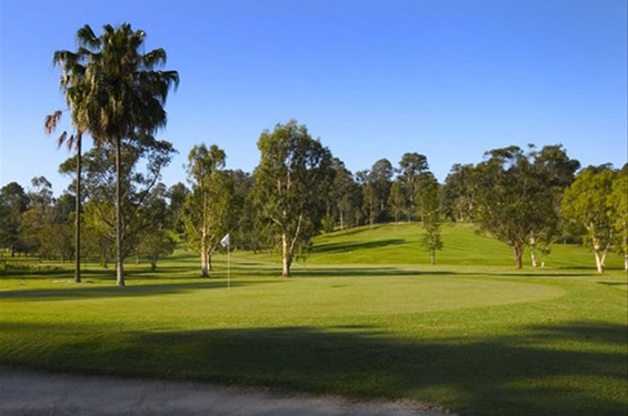 News - Nambour Golf Club