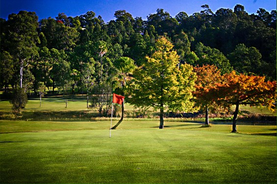 News - Nambour Golf Club News - Nambour Golf Club