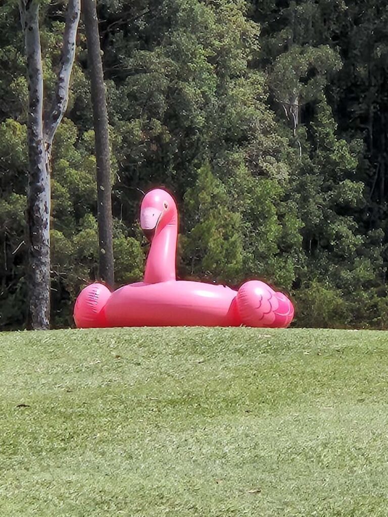 Cancer Charity Day/100 Year Celebration Day - Nambour Golf Club Cancer Charity Day/100 Year Celebration Day - Nambour Golf Club